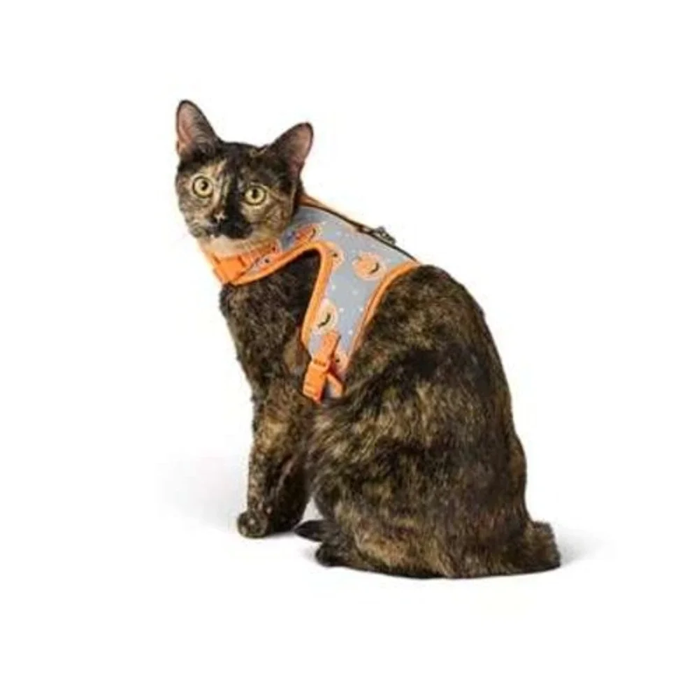 Thrills & Chills Reflective Cat Harness‎ & Leash Set Pumpkin Halloween Costume